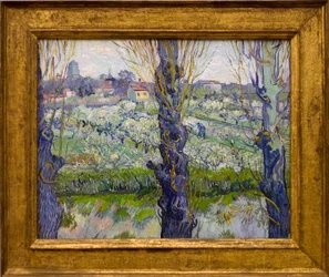 Uitzicht op Arles